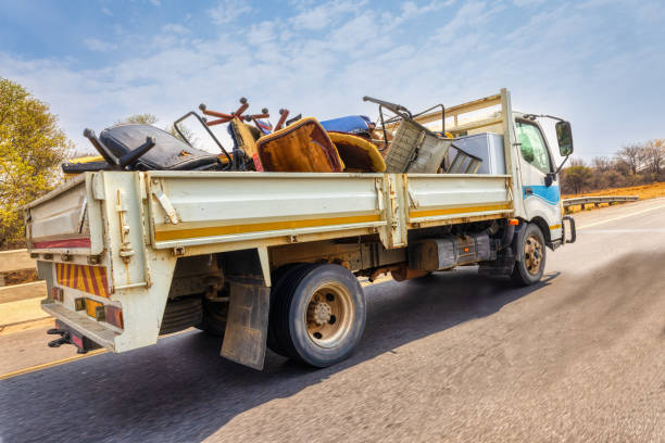 Yard Cleanup Services in Paris, TN